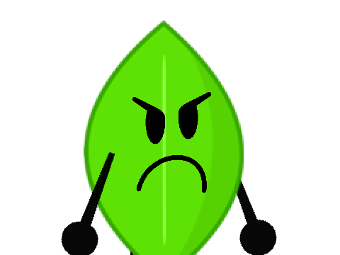 Leafy kill L'oreal Paris