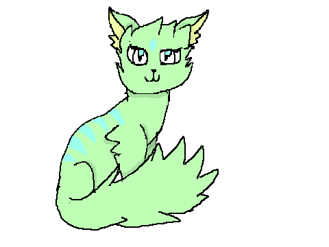 CC Cat (OPEN)-Ivypool