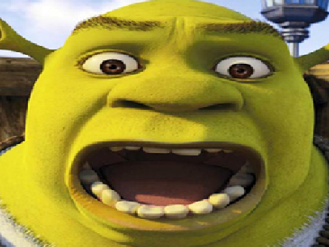 I read the entire shrek script