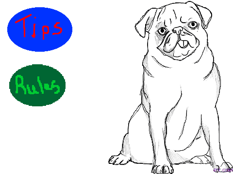 Pug coloring contest