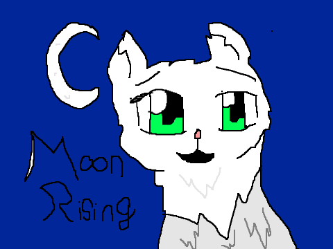 Warrior Cat auditions OPEN Moon rising