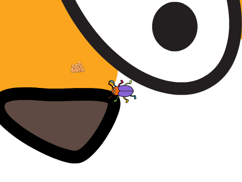 infection!!! (scratch cat 4)