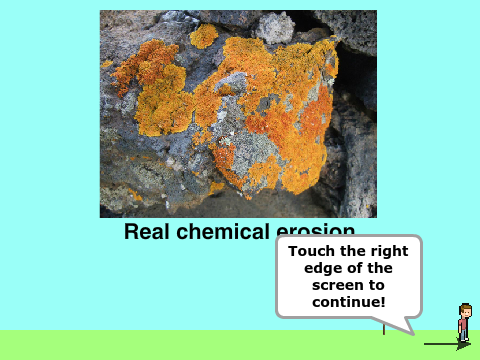 Science Project