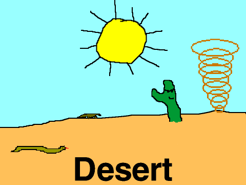 Ecosystem Project: Desert 