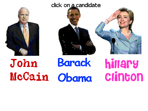 BRIEF 2008 Election Overview