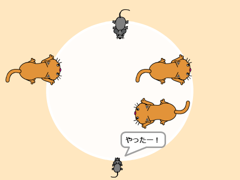 ねこ