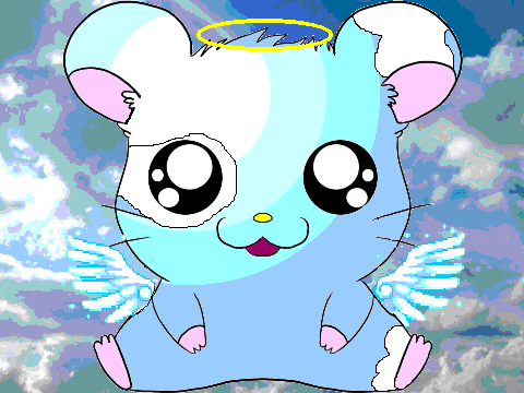 Hamster coloring contest-My entry