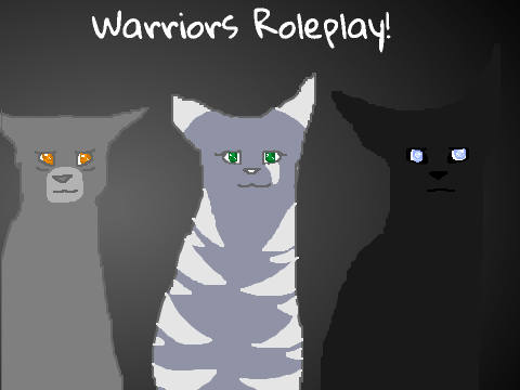 Warriors Studio Thing XD For HelloPeeps112233