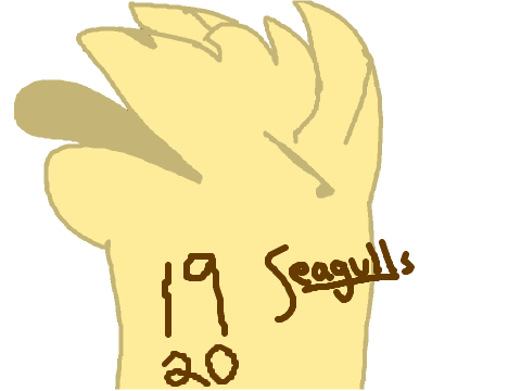 19 & 20 || Seagulls