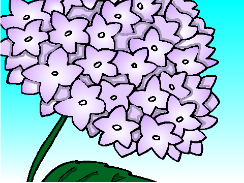 Flower Design Entry