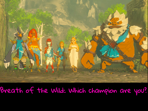 Breath of the Wild Personality Quiz