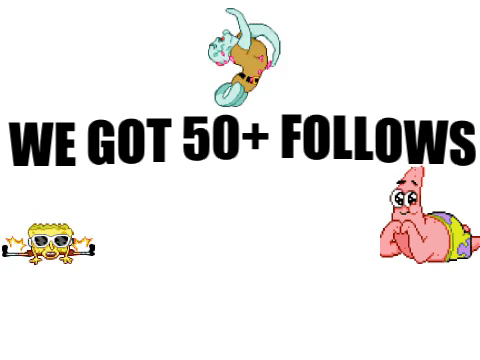 50+Follows