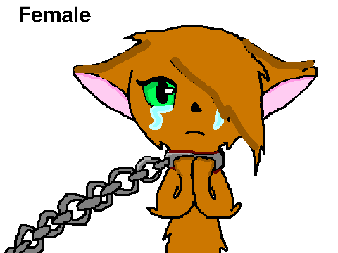 Chained CC ,;:........OPEN.........:;, remix