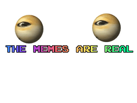 WHAT HAVE I DONE