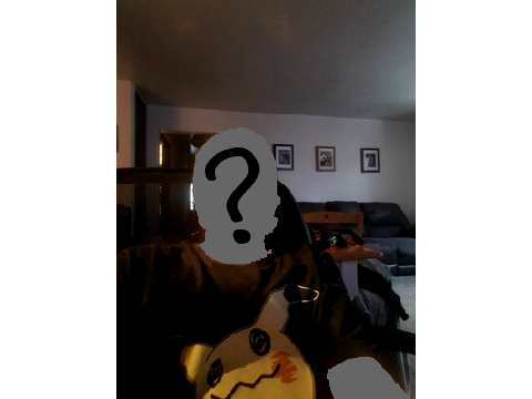 FACE REVEAL