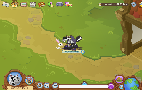 Animal Jam!