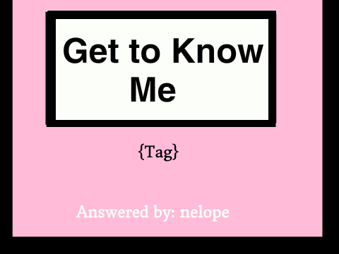 Get To Know Me {Tag}