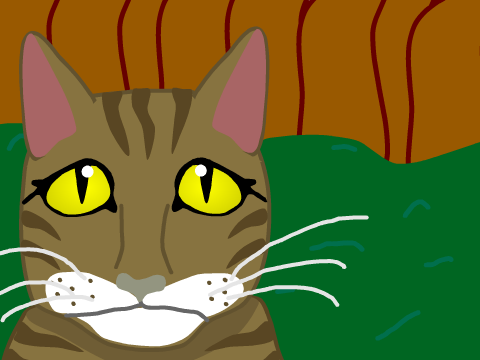 Wildest Dreams ❀ Leafpool ❀ Part 20