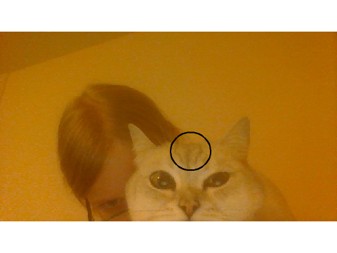 I just realised this...
