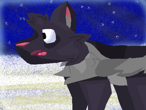  Coldest Winter MEME practice