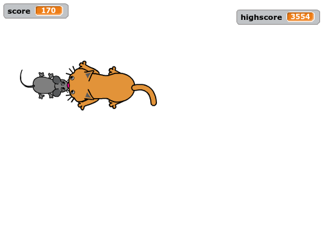 dumb cat