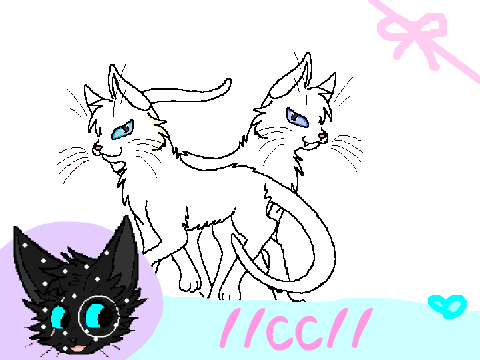 Partners in Crime CC