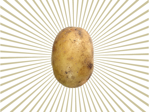 Mr. Potato Speaks