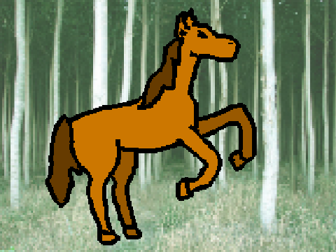 Horse