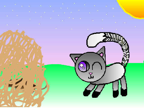 Kitten CC (OPEN!) entry