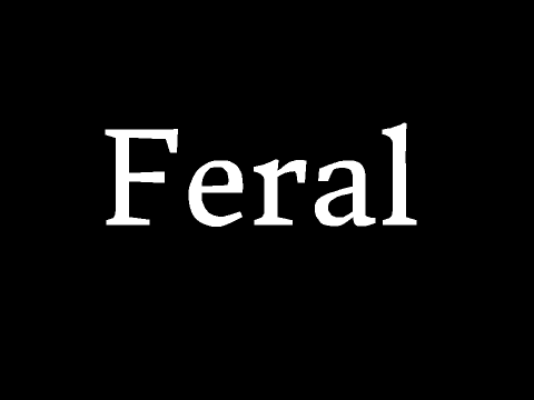 Feral (Music)