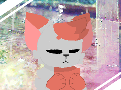 M E E T - M E // M E M E (DIRTY PAWS) 