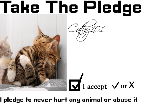 Pledge to Stop Animal Cruelty (REMIX IT) remix