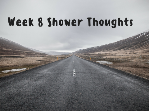 Week 8 Shower Thoughts