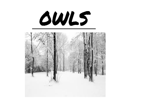 OWLS!!!