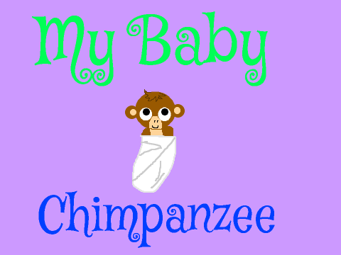 My Baby Chimpanzee