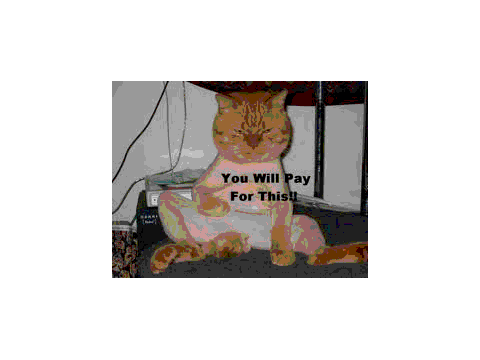 lolcats