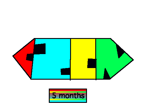 5 months