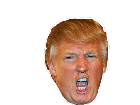 perfect donald trump cover