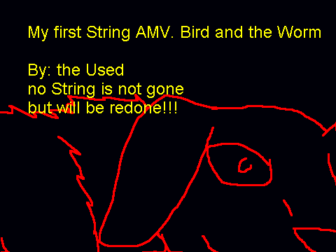Bird and worm