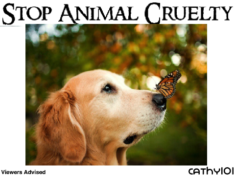 Pledge to Stop Animal Cruelty (REMIX IT) remix