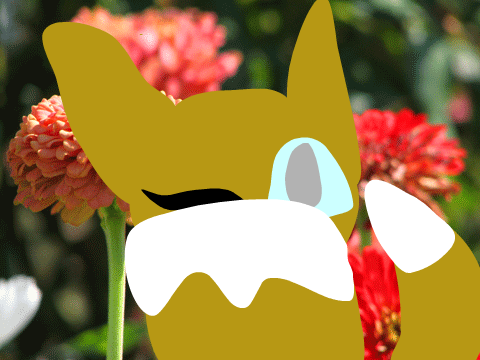 Eevee remix