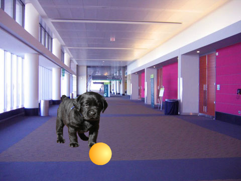  Ball Dog remix