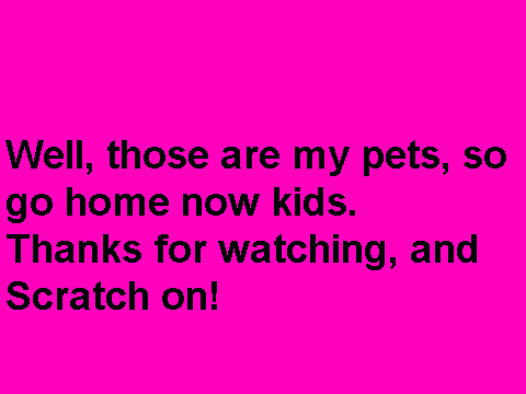 Pet pix