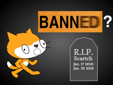 How Could This Happen to Me?