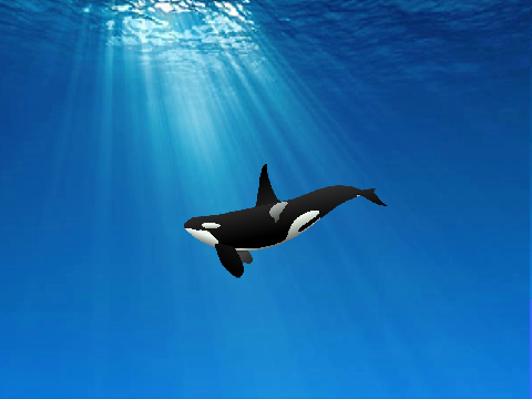 Save Lolita!