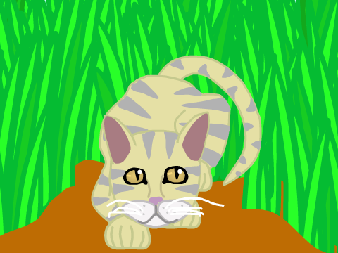 Lightpaw