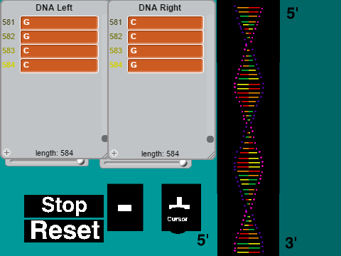 DNA Model remix