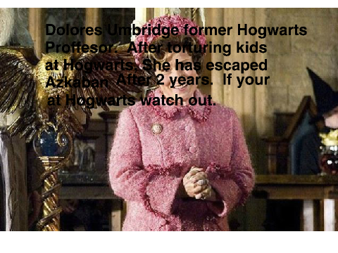 The Quibbler