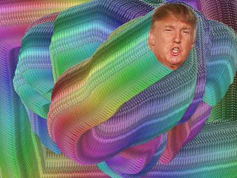 3D donald trump mouse trail