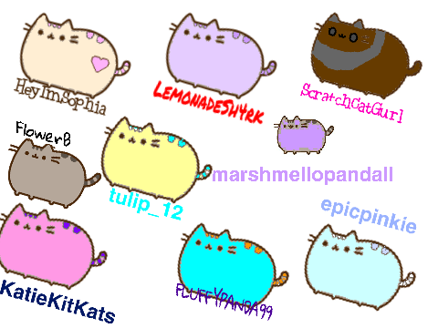 'Add Yourself as a Pusheen Cat' FlowerB remix.